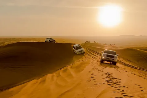 Red Dunes Morning Desert Safari