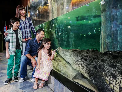 Crocodile Park Dubai